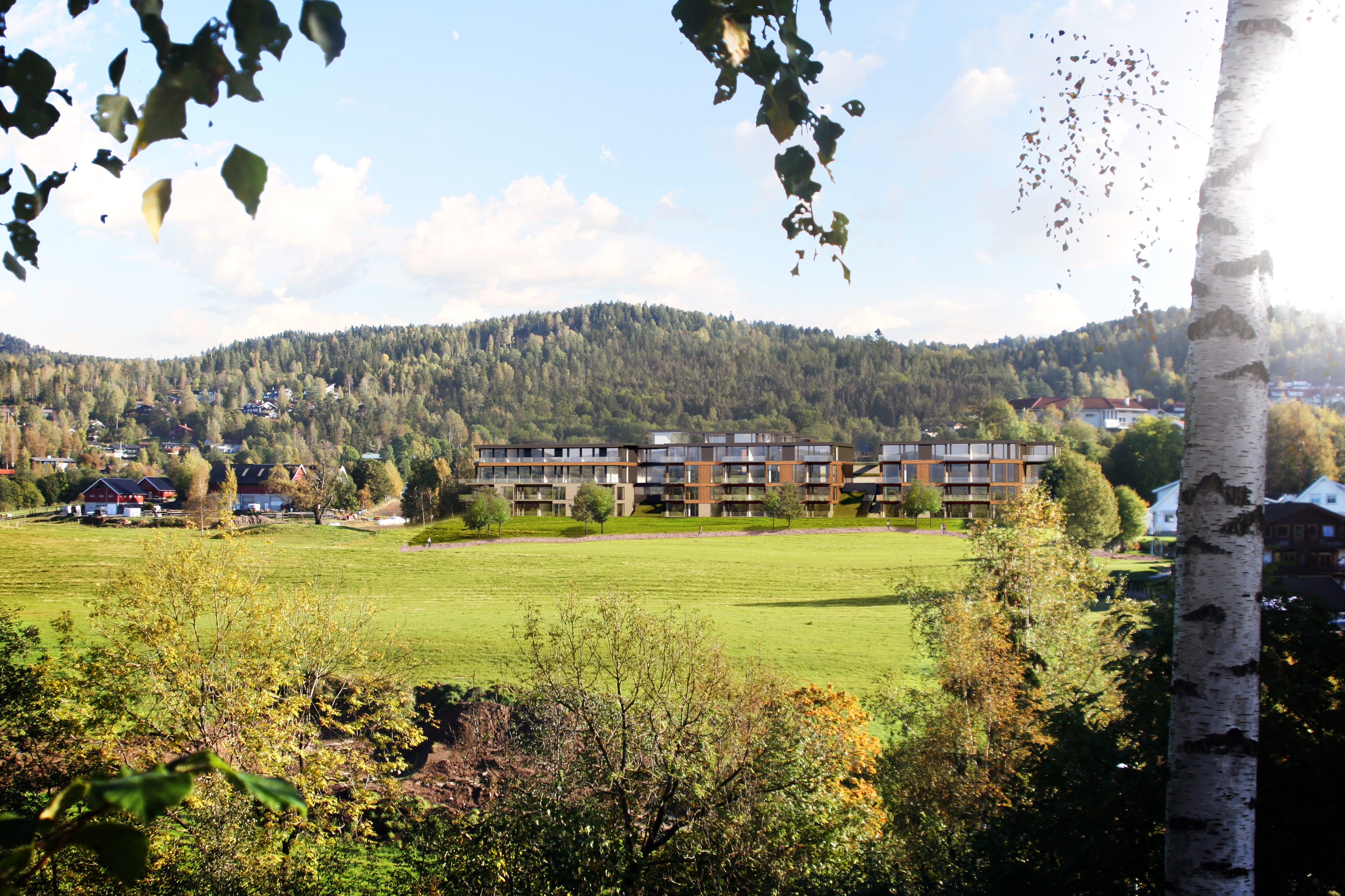 Kollen 2